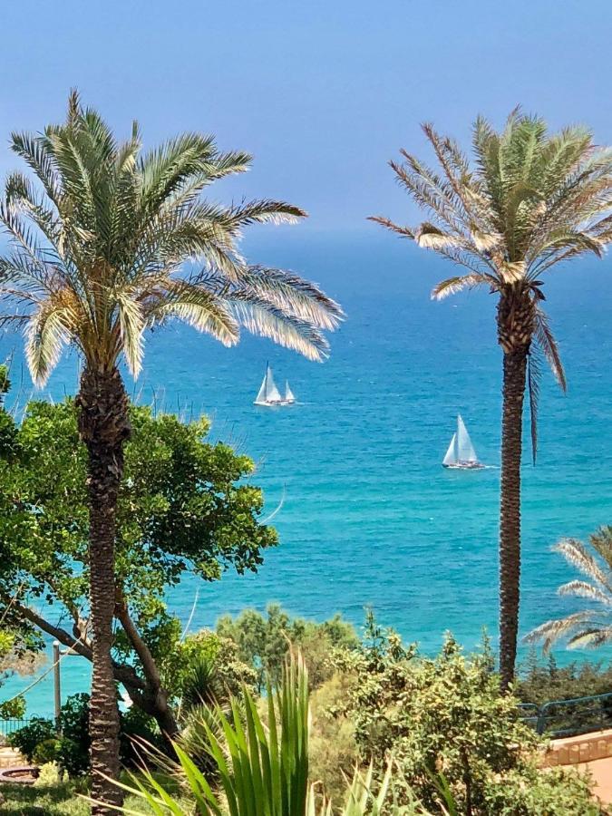 Royal Beach Front Apartments Νετάνια Εξωτερικό φωτογραφία